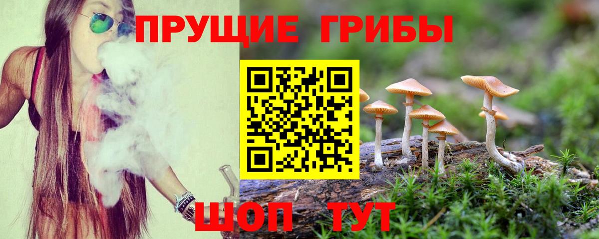 Псилоцибиновые грибы мухоморы  Вход с VPN  Муравленко 